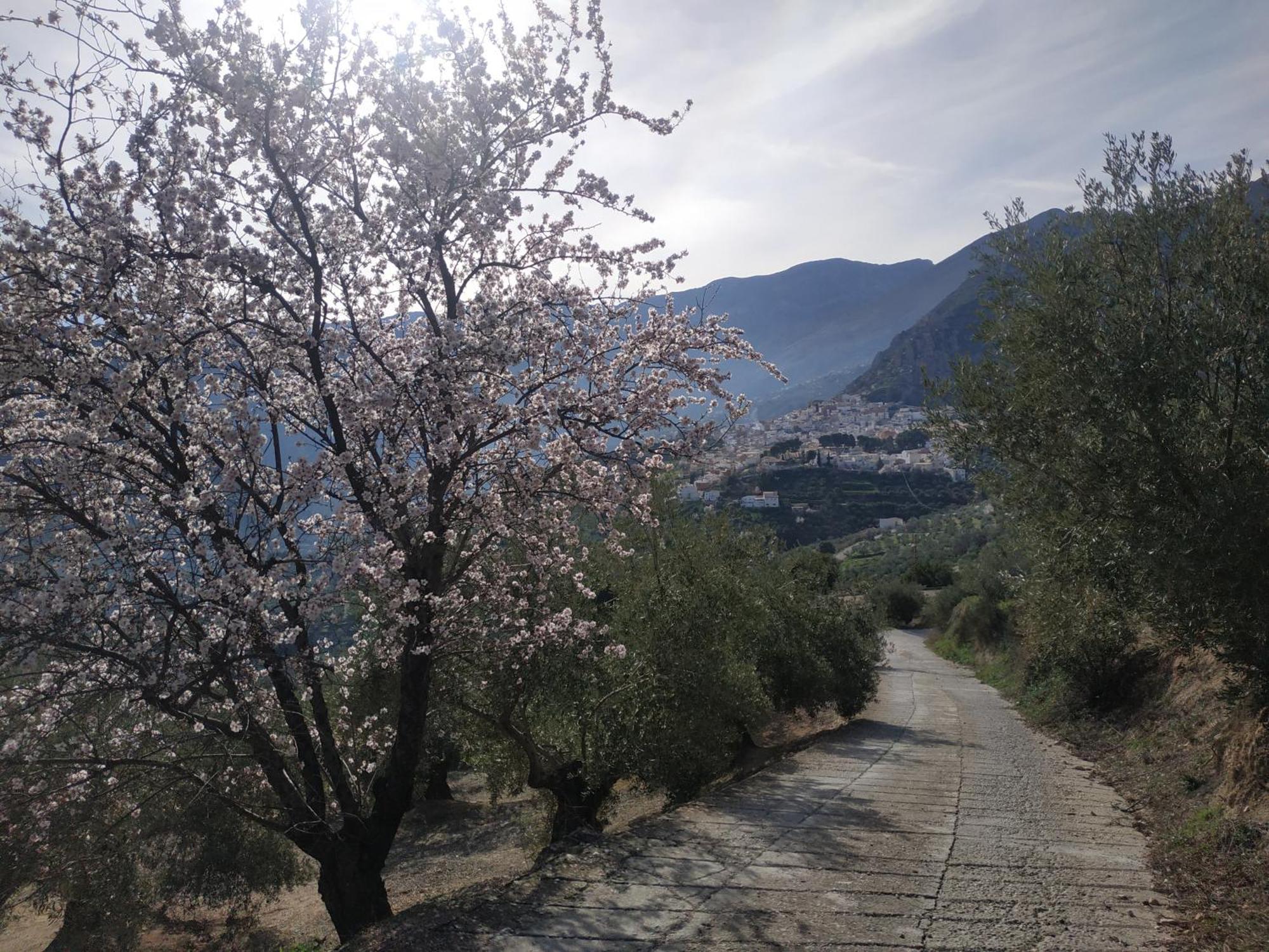 Вилла Casa Rural Maestros Альбанчес-де-Убеда Экстерьер фото